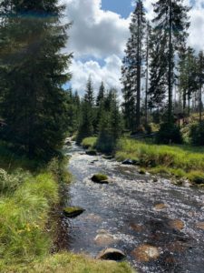 3.Místo.-Roklanský-potok-Šumava.Tereza-Hlinková.jpg